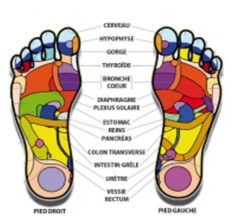 Reflexologie plantaire Annecy-Albertville